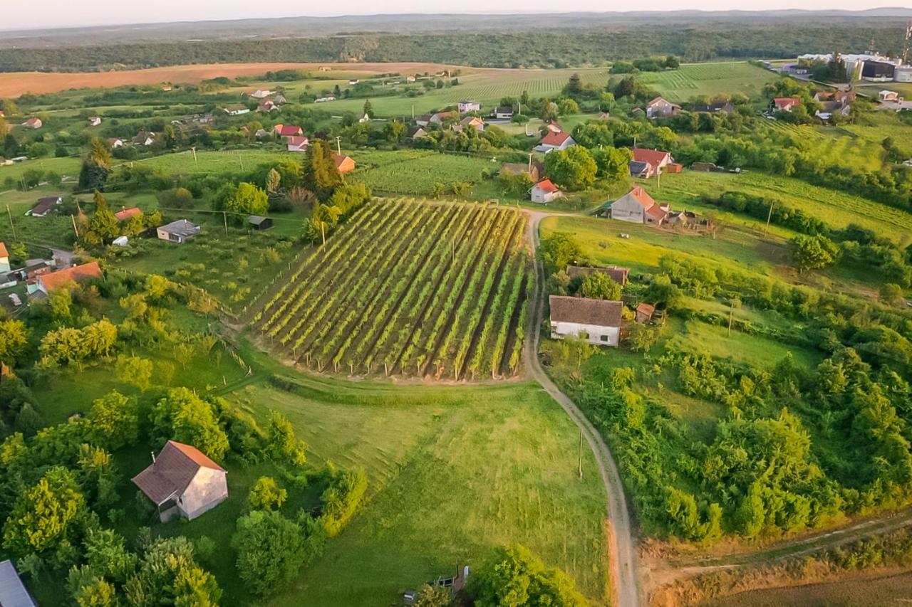 Village Wine House Mandicevac Exterior foto