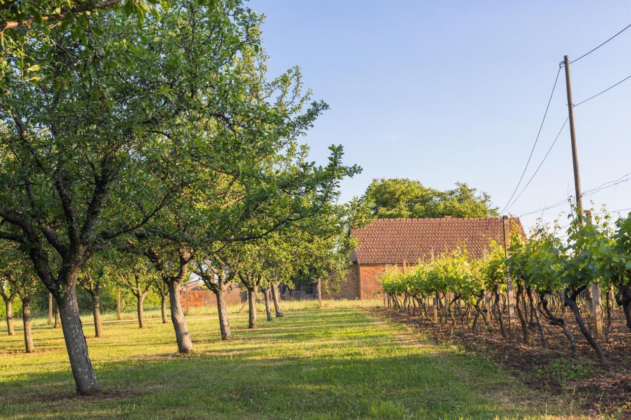 Village Wine House Mandicevac Exterior foto