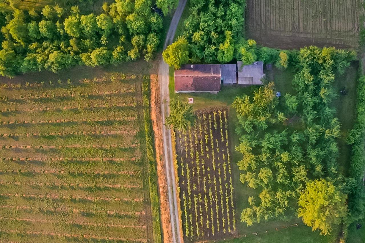 Village Wine House Mandicevac Exterior foto