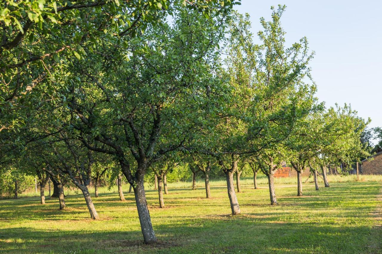 Village Wine House Mandicevac Exterior foto