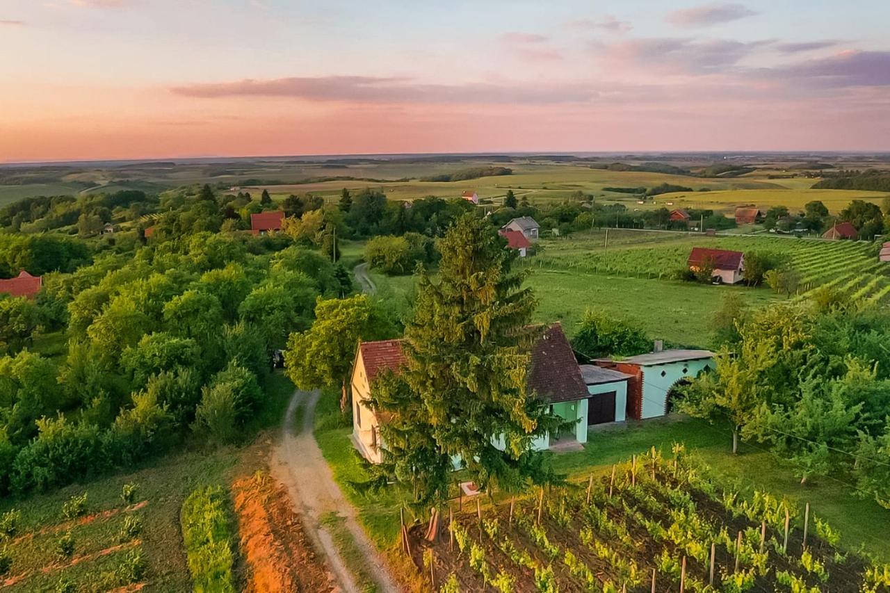 Village Wine House Mandicevac Exterior foto