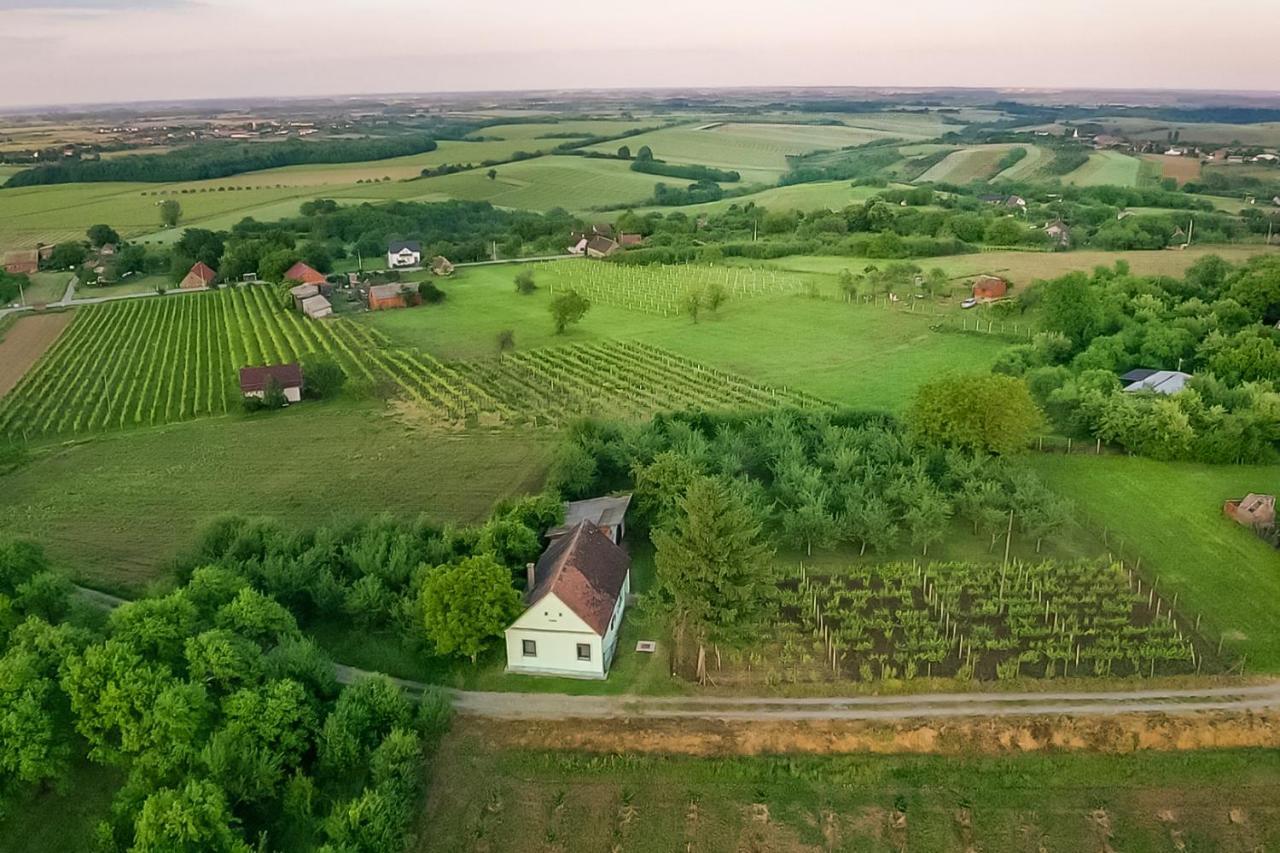 Village Wine House Mandicevac Exterior foto